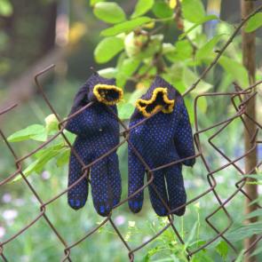 ����: ���� 