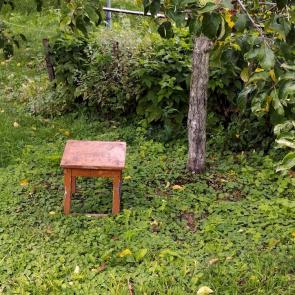 ����: ����������,�� ������