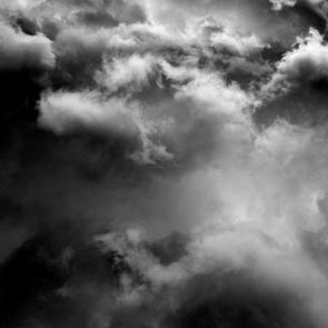 ����: ������