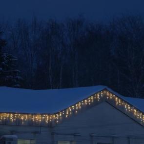 ����: �� ������