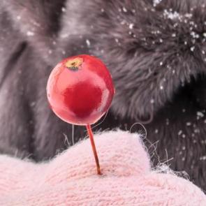 ����: �������