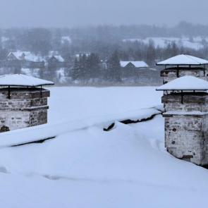 ����: �����