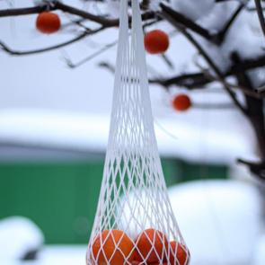 ����: �� �����������