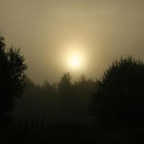 ����: �������� ����