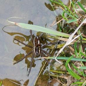 ������������ �����