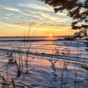 ����: ������ �����