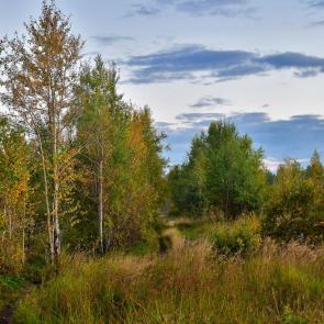 ����: ����� � ����