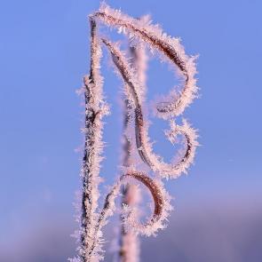 ����: ������� �������