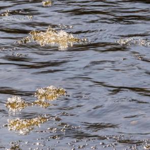 ����: ������� ��������� �������