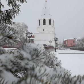 ����: ������ ������