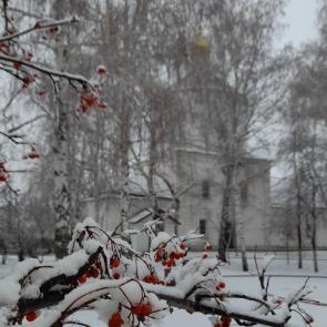 ����: ������