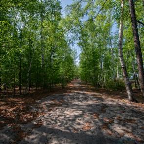 ����: ������.