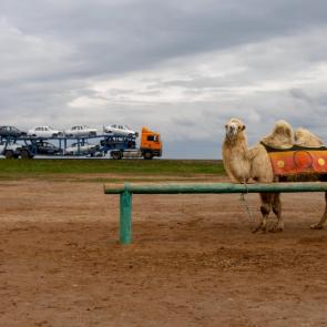 ��������� � ����� �����