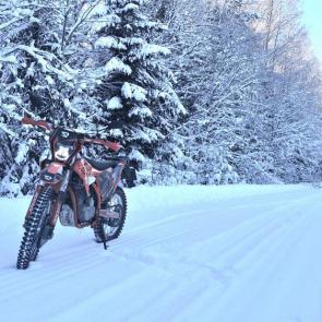 ����: ������ ���������