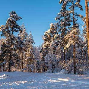 ����: ���� � ����.