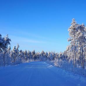 ����: �������� ���� 