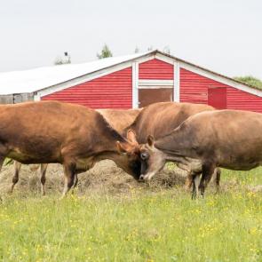 ����: �� ������.