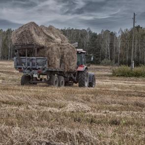 ����: ��������� ���� �� ���� 