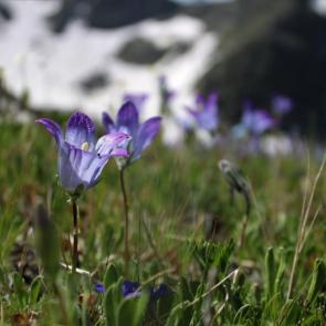 ����: ������ �����