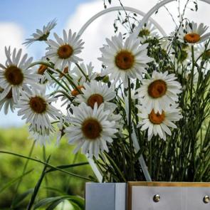 ����: �������