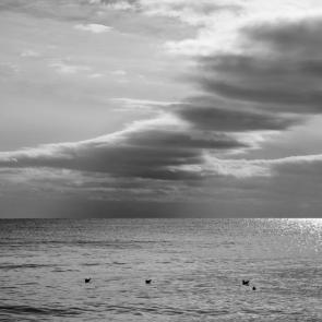 ���� ��������: ������ ��� �����