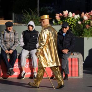 ����: ������� �������