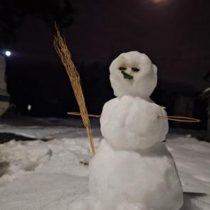 ����: ��������