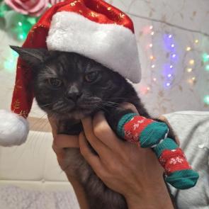 ����: ����� ��� � ����� ������ �����