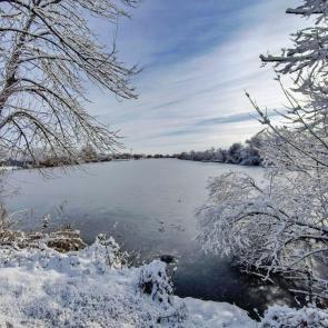 ����: ���� �������