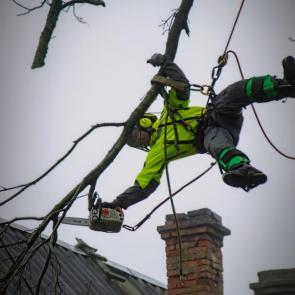 ���� �� �������