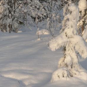 ���������� �� ���� ����