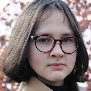 ������� ������ �� ����������