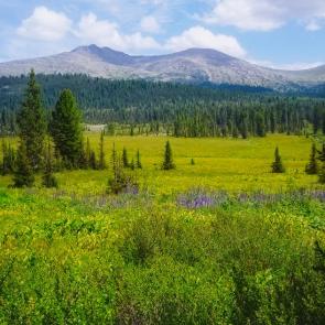 ����: ������ �����