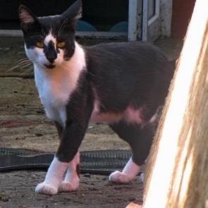 ����: � ���, � �.