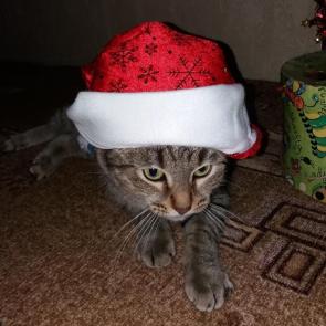 ����: ��� ������