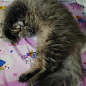 ����: ����! ������!