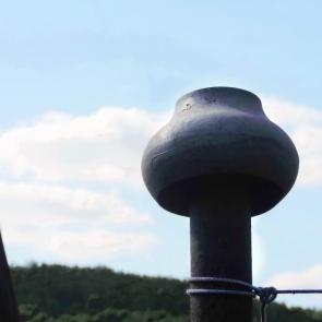 ������ ����