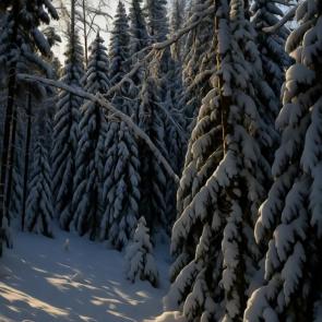 ����: ������ ������