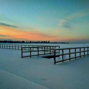 ����: �������