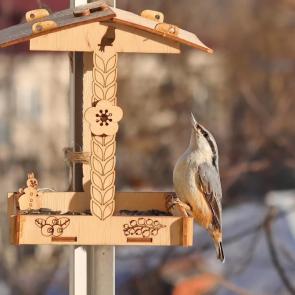 ����: ���������. 