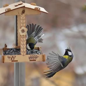 ����: � ��������. 