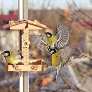 ����: � ��������. 