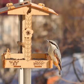 ����: ���������. 