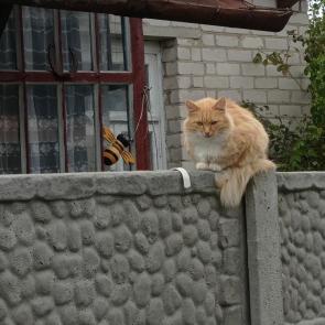 ����: ��������� ������