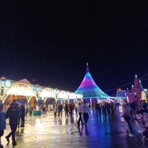 ����: ����������