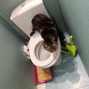 ����: �� ������� ��!