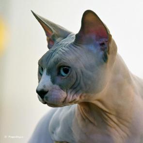 ����: ���������!