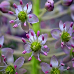 ���� ��������: ������� �������� � �������. 