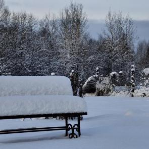 ����: ������