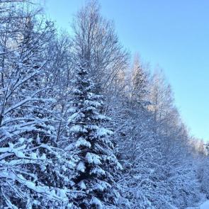 ����: ������ ������